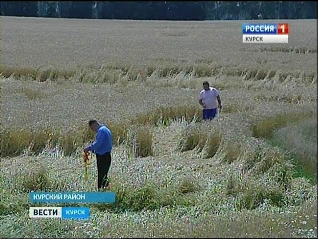 Необычные узоры на полях Курской области | Круги на полях | Паранормальные новости | 14 Июля 2014 