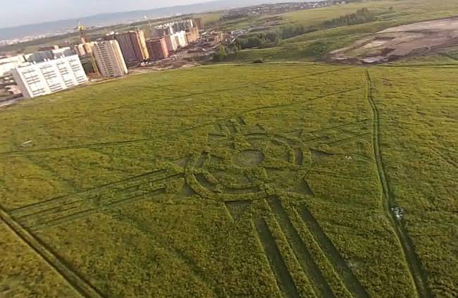 В Красноярске обнаружили огромный узор на траве | Круги на полях | Паранормальные новости | 06 Сентября 2014 