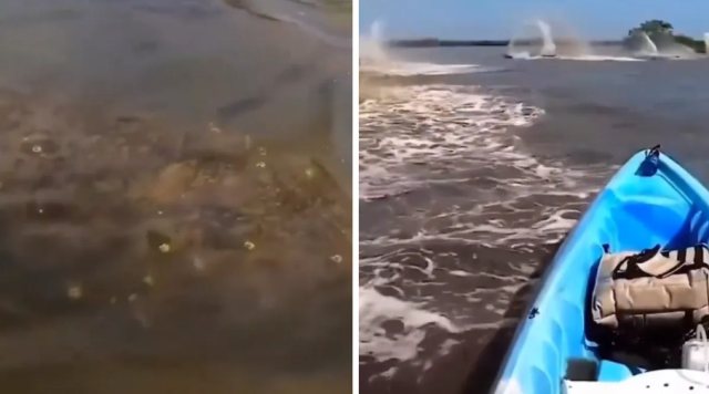 Неопознанные существа окружили лодку каякера, плывшего по Амазонке | Видео | Паранормальные новости | 02 Марта 2024
 
 