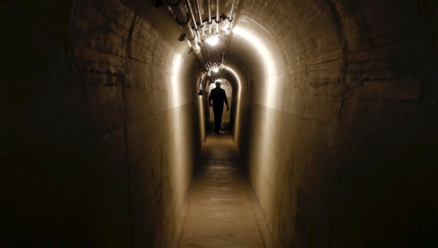 IT