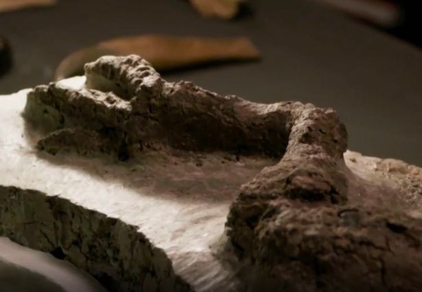 Нога динозавра с кожей найдена в Северной Дакоте | Доисторический мир | Паранормальные новости | 08 Апреля 2022
 
 