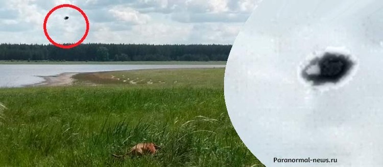 Жук или НЛО? История от нашего читателя | Из писем | Паранормальные новости | 05 Февраля 2024 
