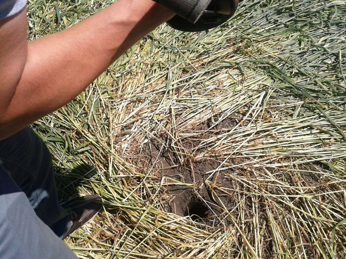 На полях Адыгее появились классические "круги на полях" | Круги на полях | Паранормальные новости | 09 Июня 2015 