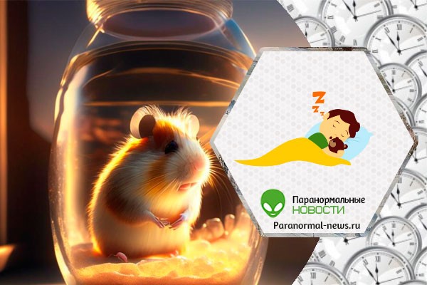 «Я увидел будущее во сне»: История от нашего читателя | Из писем | Паранормальные новости | 04 Июня 2023 