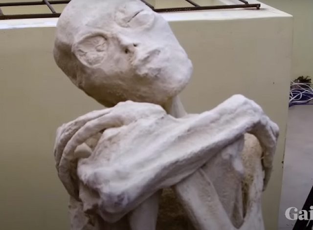 Исследование мумии «инопланетянина» из Перу показало, что скелет похож на человеческий, но «со многими отличиями» | Уфология | Паранормальные новости | 26 Июня 2024 
