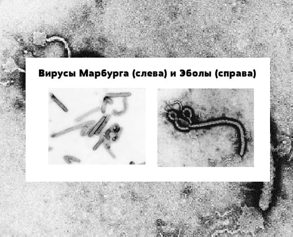 Кенийская пещера Китум, создающая вирусы
