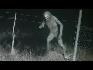 0 100