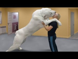 0 98