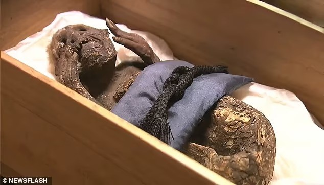 Тайна японской мумии русалки наконец раскрыта
 
 