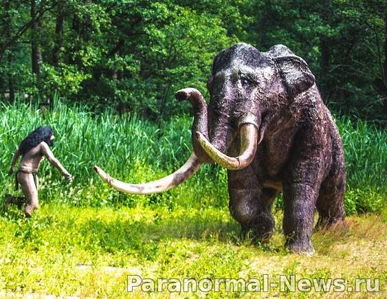 Наблюдения загадочных слоноподобных животных в Северной Америке
 
 
 