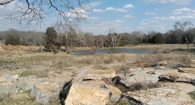 Мужчина обнаружил в лесу нечто, что поедало коров и сооружало фигуры из веток
 
 