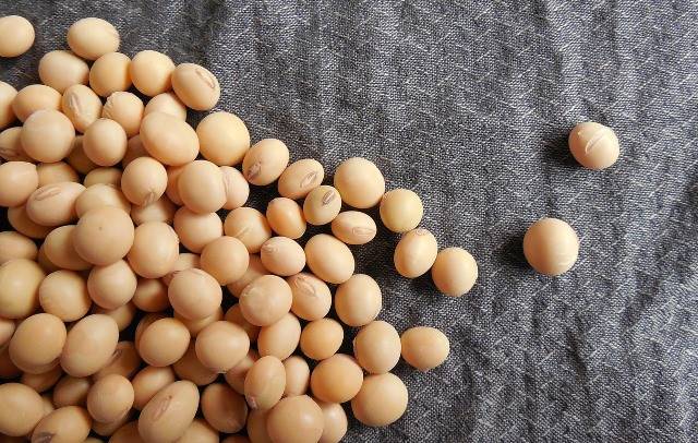 В рестораны Миннесоты поступило масло из сои с отредактированным ДНК
 
 
 