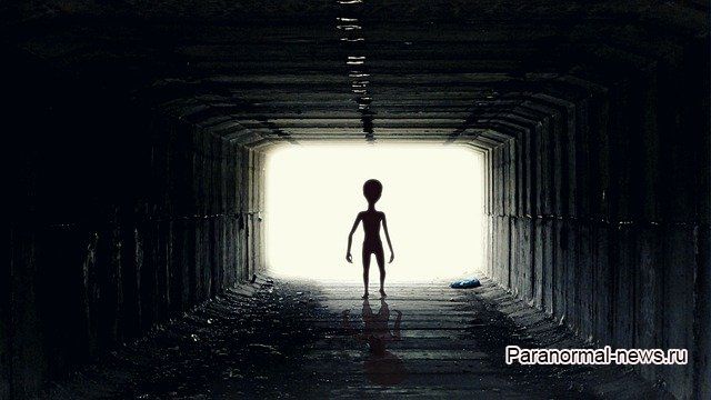 Люди для пришельцев в первую очередь являются пищей?
 
 
 