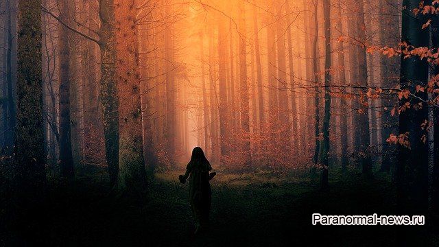 Маленькая девочка на 8 часов заблудилась в лесу и увидела необъяснимые вещи
 
 
 