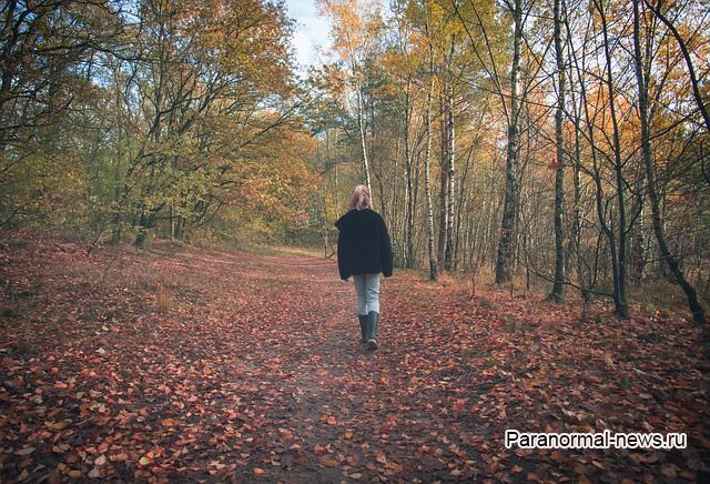Маленькая девочка на 8 часов заблудилась в лесу и увидела необъяснимые вещи
 
 
 