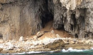 v peshhere kotoruju ispolzovali neandertalcy obnaruzhena pech dlja prigotovlenija kleja aaf5907