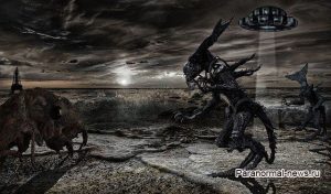 486412c73629bf57797ac3aa27503de1 1