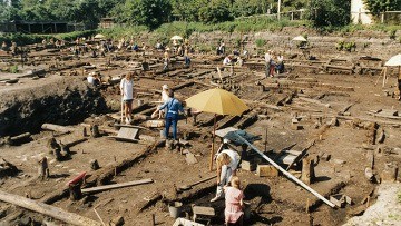 Новгородские археологи нашли загадочное растение, которому 1000 лет
 
 
 