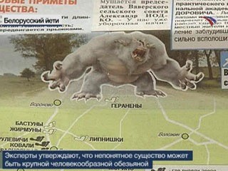 Белоруссия охвачена паникой и азартом поймать йети
 
 
 