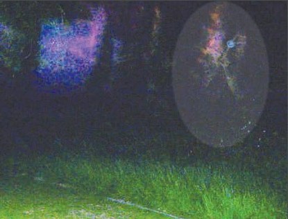 Охотники за привидениями "застукали" призрак солдата XVII века
 
 
 