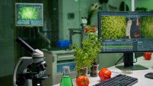 novaja model iskusstvennogo intellekta rasshifrovyvaet geneticheskij jazyk rastenij 6b9743f