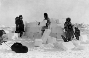 pochemu inuitskaja kultura vyzhila v grenlandii a norvezhskaja ischezla detskie igrushki sygrali reshajushhuju rol af262c3
