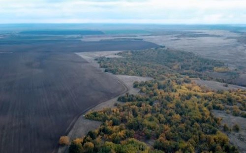 Находка в Медведицкой гряде 
