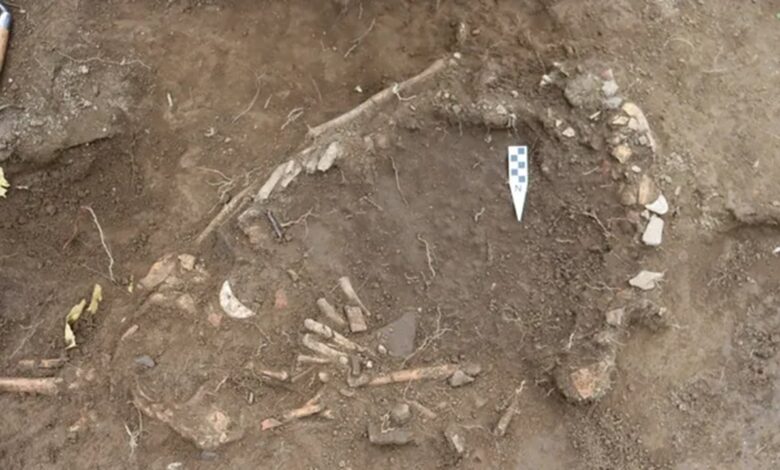 Эта беременная женщина, принесенная в жертву в Эквадоре 1200 лет назад, возможно, была убита... чтобы умиротворить Эль-Ниньо