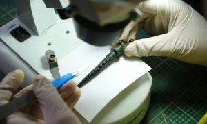 В Адрианополе найдена бронзовая фильтрационная система римской эпохи для очистки напитков